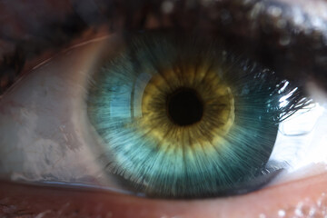 Beautiful closeup of blue human eye for medical design