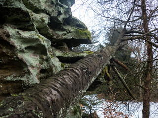 sandstone rock formation krkavci kameny in northern bohemia