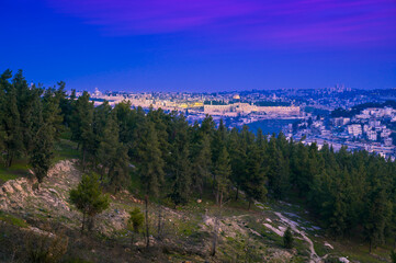 Fototapeta na wymiar Beautiful twilight view of Old city Jerusalem, with Hurva Synagogue and the Dome of the Rock on the Temple Mount, seen over the pine trees on side of a hill 
