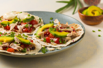 Mini tortillas with tomato salsa, avocado and boiled chicken. Front view.