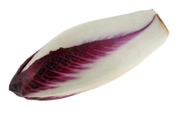 Endive bicolore en gros plan sur fond blanc