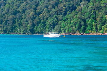 Fototapeta na wymiar Wonderful turquoise sea at Andaman sea, Beautiful beach and gentle wave at Surin Island, Thailand.