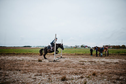 Rider on horse jumping over hurdle