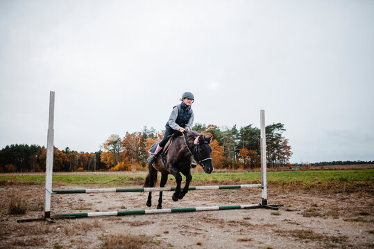 Girl on horse jumping over hurdle