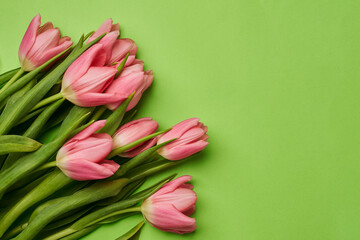a bouquet of beautiful large pink tulips lies beautifully on a green background in the lower left corner