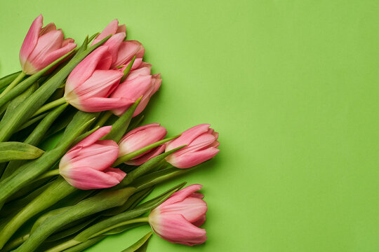 Light Spring Time Backround