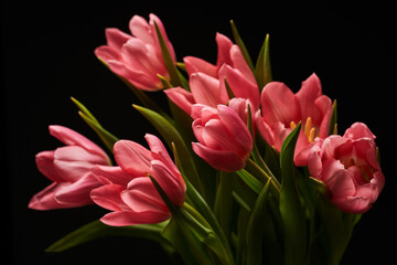 Obraz premium beautiful bouquet of pink open tulips on a black background