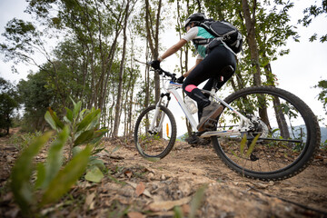 Naklejka na ściany i meble Woman cyclist cycling on mountain top forest trail
