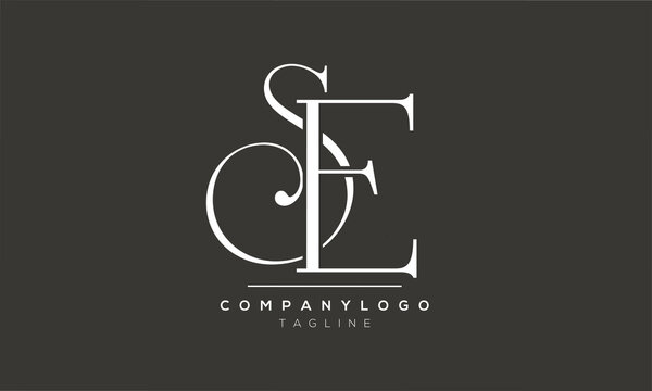 Abstract Letter Initial SE ES Vector Logo Design Template