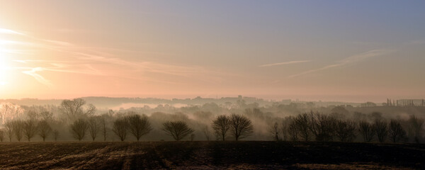 Tree lined landscape at sunrise looking towards Milton Earnest from Sharnbrook Bedfordshire..