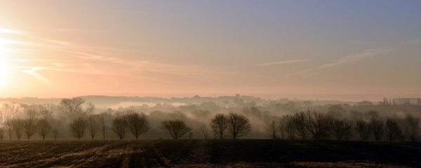 Obraz premium Tree lined landscape at sunrise looking towards Milton Earnest from Sharnbrook Bedfordshire..