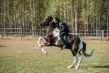 The horse rears up with the jockey, they prepare for the competition.