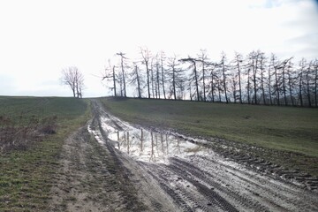 Fototapeta premium end of winter in the czech northern mountains