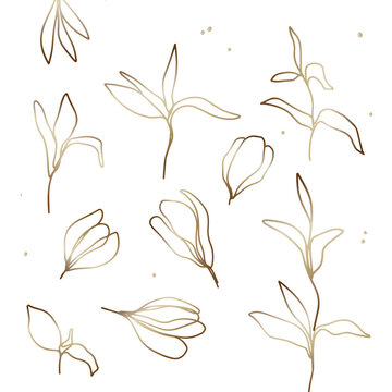 Elegant nature elements for luxury feminine design. Vector leaf clipart with gold gradient applied.