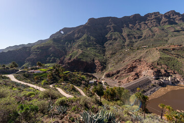 Fototapeta na wymiar Barranco con árboles verde en el sur de Gran Canaria