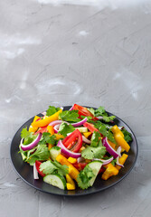 Plate of rainbow salad with different vegetables and herbs on black plate on grey stone background