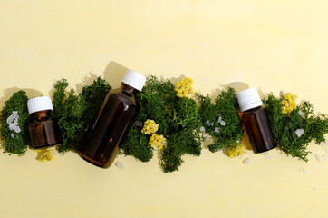Top view of glass bottles of aroma oils, green fresh grass and flowers.Alternative beauty ingrediets.Sunny light