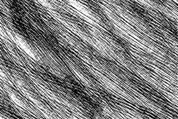 Grunge rough background. Vector textures, hades of gray.
