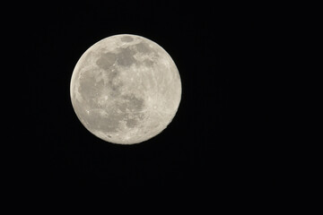 Large White Moon On A  Night Sky
