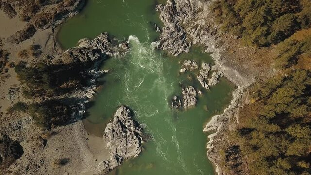 Aerial top view of the powerful flow of the mountain green river Katun. Chemal village, Altai Republic, Russia