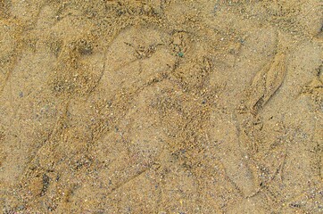 footprints on the beach sand
