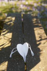 corona mask in form of a heart on a parkbench