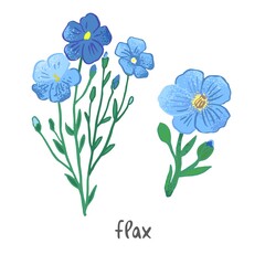 Flax plant with flowers, leaves isolated on white. Field summer flower for alternative treatment, traditional medicine, home decor. Plant element for a bouquet of wild herbs. Vector illustration