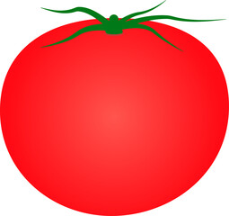 かわいいトマトの挿絵