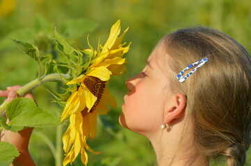 the girl and the sunflower