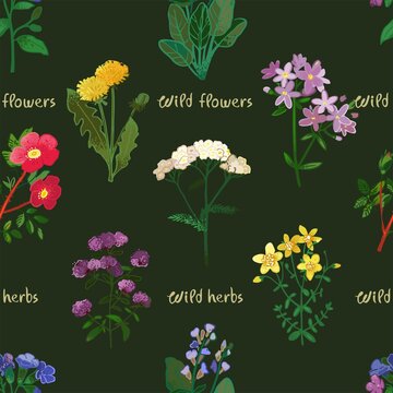 Seamless pattern with wild flowers, herbs, plants isolated on green. Floral decorative background in vintage botanical style for wrapping paper, wallpaper, printing on fabric. Vector illustration.
