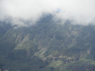 fog in the mountains