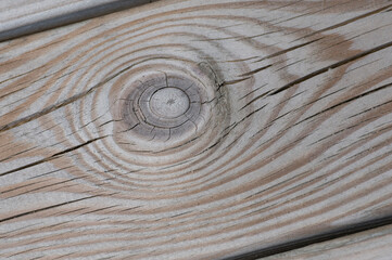 Close up of a wooden texture  with a wooden twig