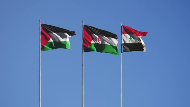 Sahrawi Palestine Syria flags waving together in the sky. Three flags at sky background.