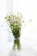  Bouquet of wild daisies on  white background