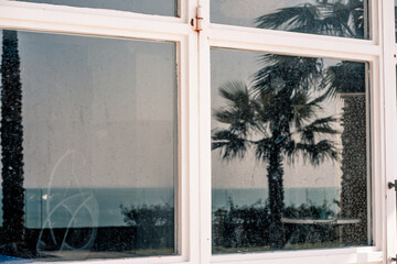 Reflection of sky, sea and palm trees in dirty window glass with white frame (309)