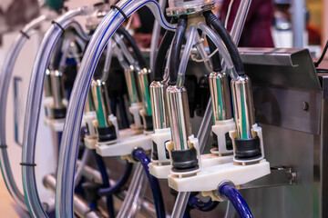 Teat cups of automated cow milking suction machine at cattle dairy farm, exhibition, trade show: close up. Farming, automated technology equipment, agriculture industry, animal husbandry concept