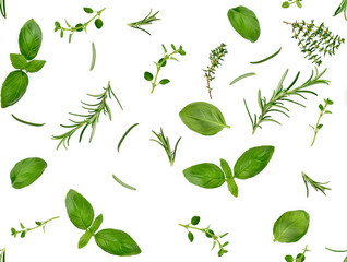 Different spices and herbs isolated on white background, basil leaf, thyme, rosemary, top view, seamless pattern