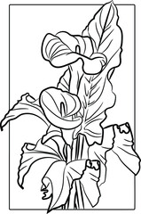 Vector hand drawn illustration of  flowers coloring page.
