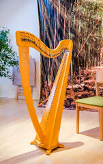 Harp, the largest and most complex stringed musical instrument 