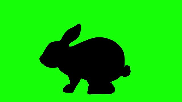 Silhouette of a rabbit idle, on green screen, side view. Animal silhouettes seamless loop 3D animation.