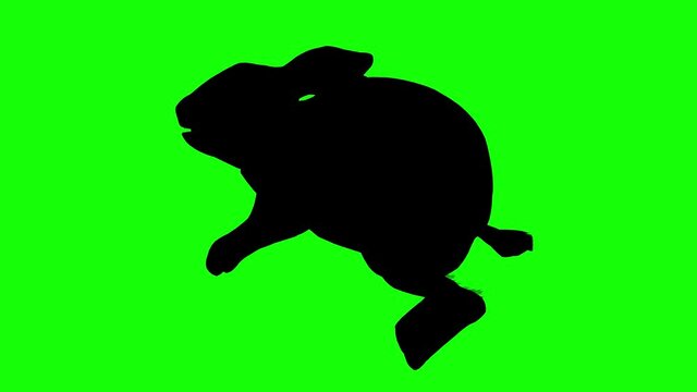 Silhouette of a rabbit hop jump, on green screen, side view. Animal silhouettes seamless loop 3D animation