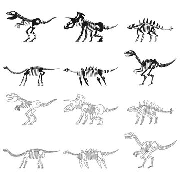 Dinosaur skeletons vector black silhouettes set isolated on a white background.