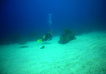 Fototapeta na wymiar underwater scuba divers, coral reef , caribbean sea