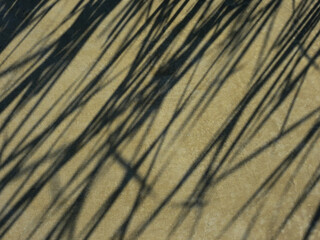 shadow of grass on concrete floor texture