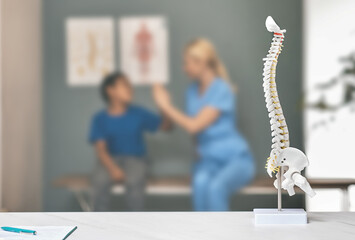 Anatomical model of spine on therapist's table in doctor's office. Boy patient and physiotherapist during a consultation on background, soft focus