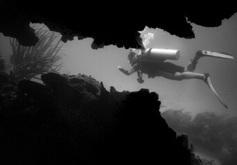           scuba diving , coral reef , caribbean sea , Venezuela       