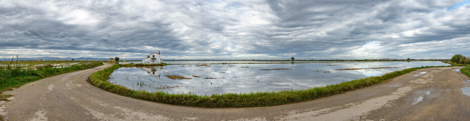 Ultra wide panorama of flooded rice field and road