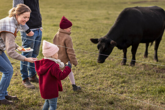 Girls With Parents Feeding Animals In Farm