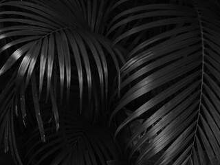 black and white palm leaf background