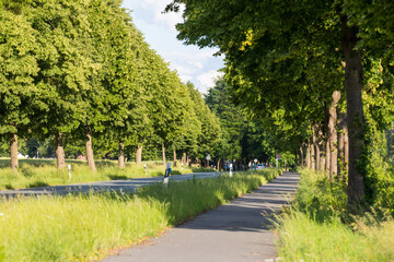 Radweg entlang einer Landstraße im Sommer
